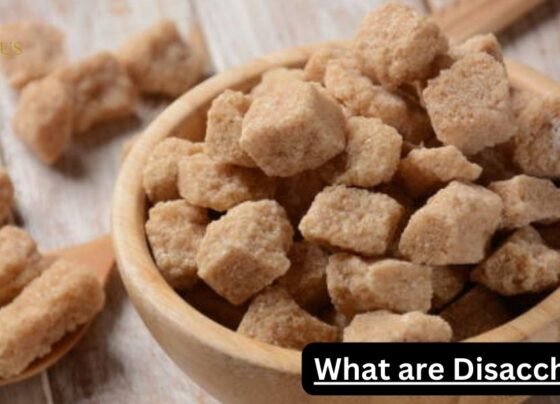 What are disaccharides