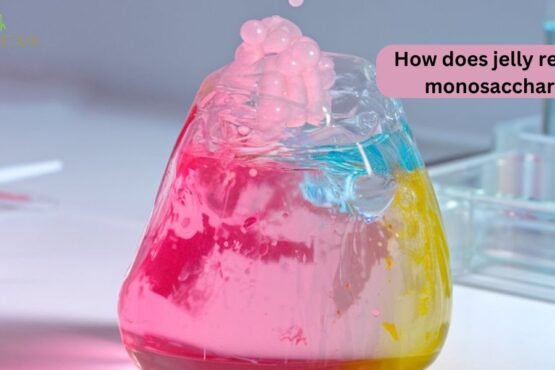 How does jelly react with monosaccharides