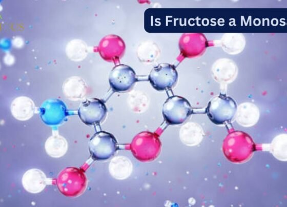 Is fructose a monosaccharid