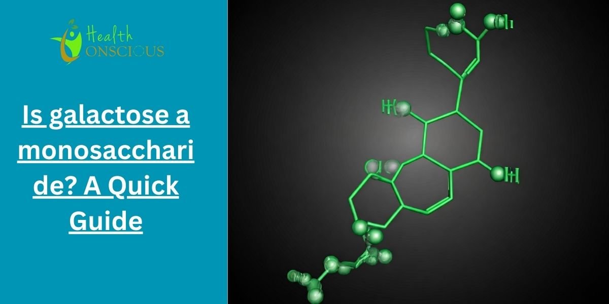 Is galactose a monosaccharide? A Quick Guide