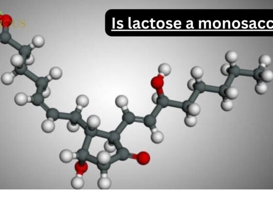 Is lactose a monosaccharide