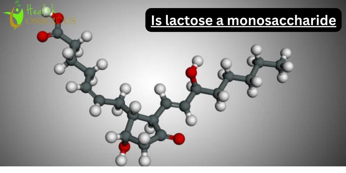 Is lactose a monosaccharide? Understanding Lactose