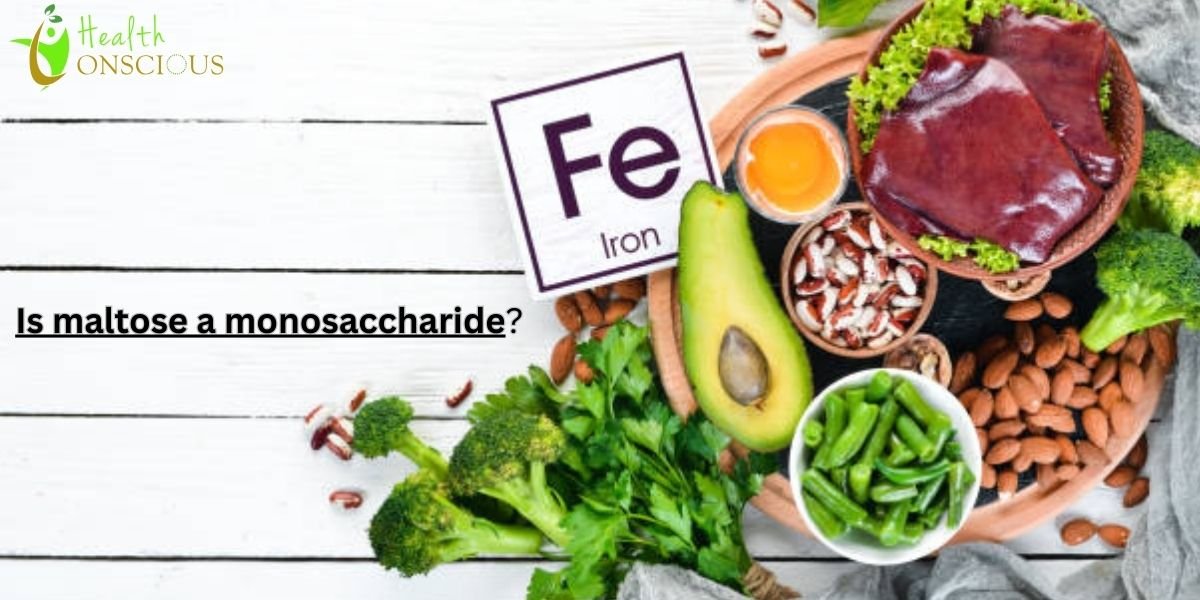 Is Maltose a Monosaccharide? Learn the Difference Between Sugars