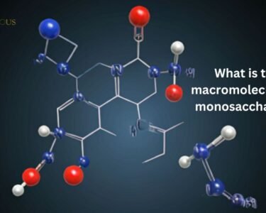 What is the macromolecule for monosaccharide