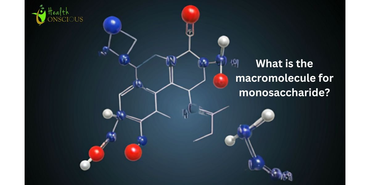 What is the macromolecule for monosaccharide?