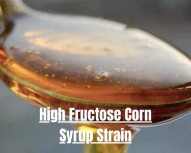 Exploring the High Fructose Corn Syrup Strain: Effects, Benefits, and Flavor Profile