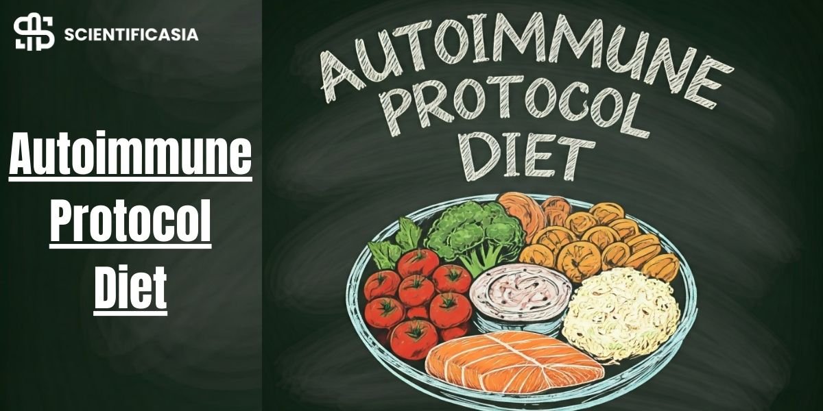 Navigating the Autoimmune Protocol Diet: Phases, Foods, and Health Benefits