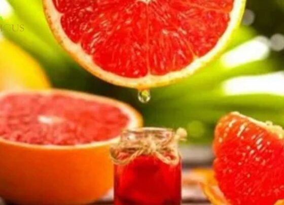 What Does Grapefruit Taste Like?