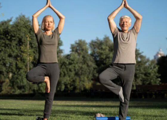 Free 28 Day Chair Yoga Challenge for Seniors