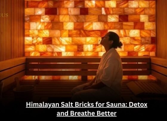 Himalayan Salt Bricks for Sauna