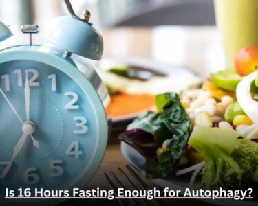 Is 16 Hours Fasting Enough for Autophagy