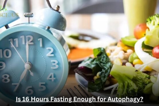 Is 16 Hours Fasting Enough for Autophagy