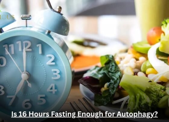 Is 16 Hours Fasting Enough for Autophagy