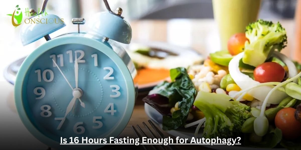 Is 16 Hours Fasting Enough for Autophagy? The Process, Signs, and Benefits
