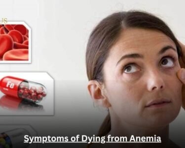 Symptoms of Dying from Anemia