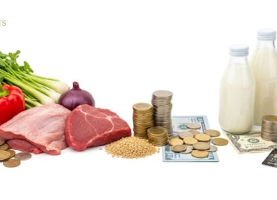 Rizopacho Food Cost
