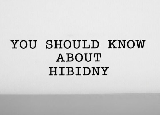 You Should Know About Hibidny