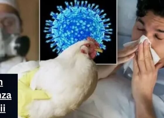 Avian Influenza Hawaii