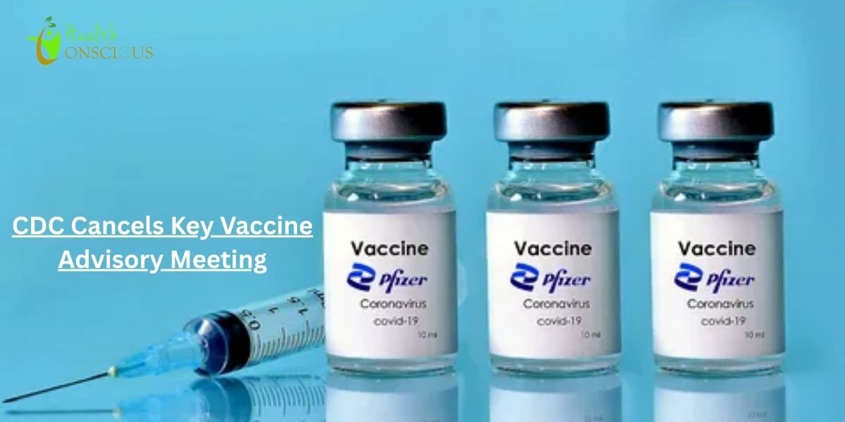 CDC Cancels Key Vaccine Advisory Meeting, Leaving Childhood Immunization Schedule Unchanged