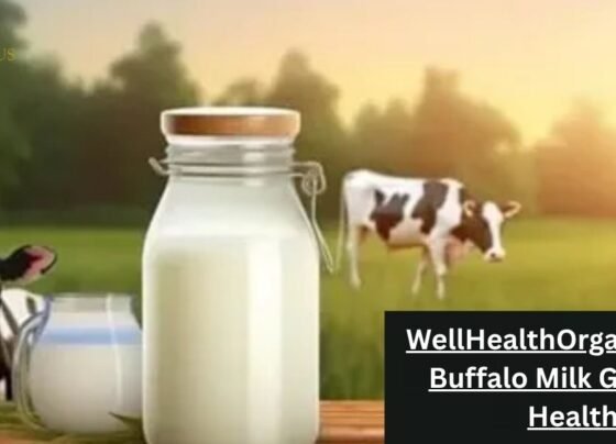WellHealthOrganic.com : Buffalo Milk Good for Health