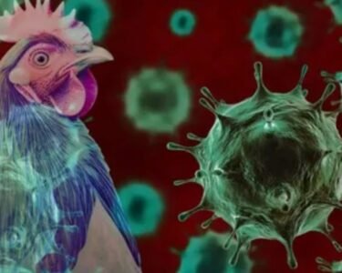 Early Flu Mutation Sparks Warning