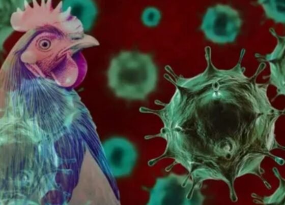 Early Flu Mutation Sparks Warning