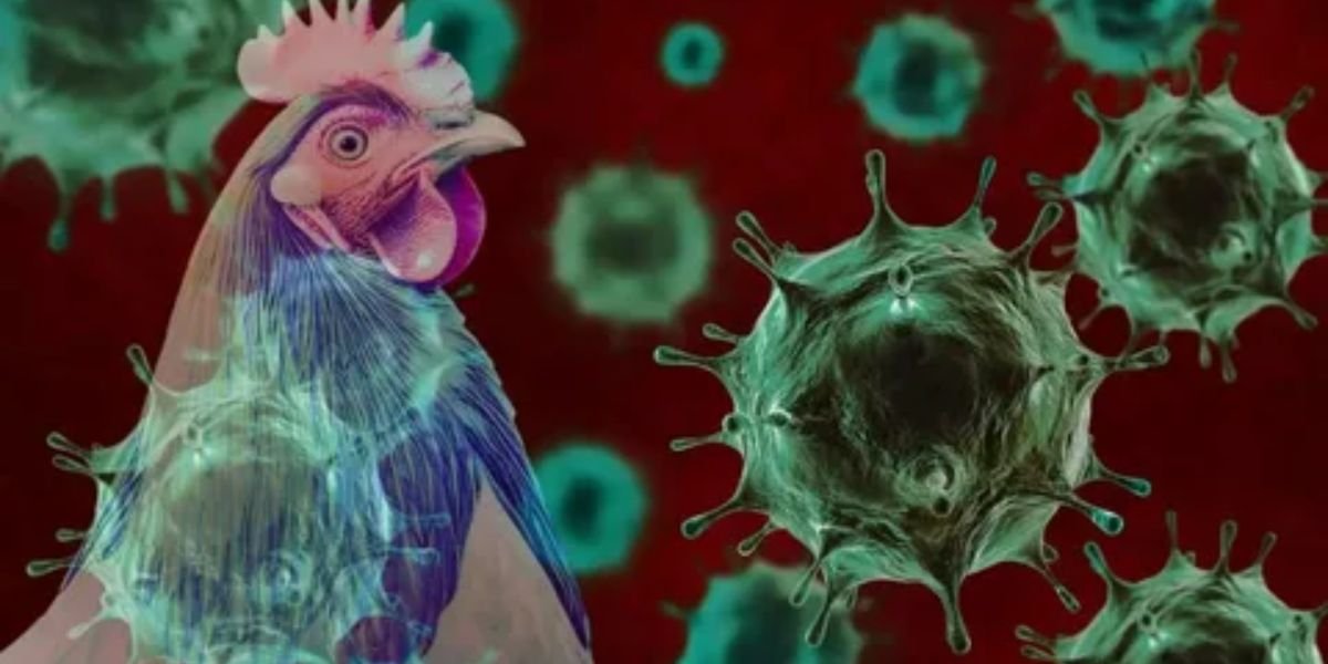 Early Flu Mutation Sparks Warning of Potentially Harsh 2025 Season