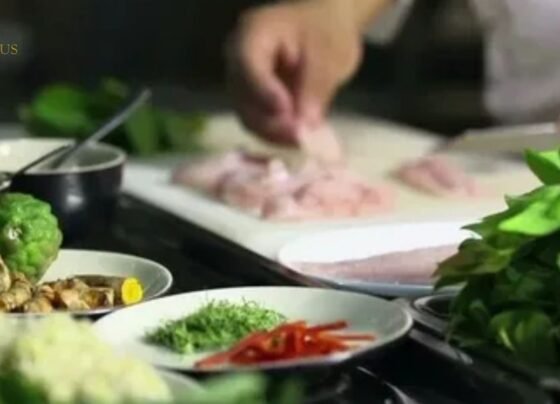 What Method of Cooking Is Easy to Use FHTHopeFood Cooking Trend